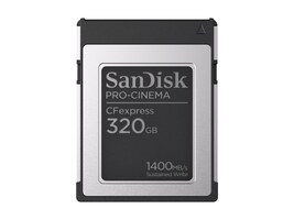 SanDisk Technologies SDCFEC-320G-GN4NN              Main Image from Front
