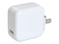 4Xem 2.1A Wall Charger for iPad, 4XIPADCHARGER, 31191794, Battery Chargers