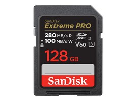 SanDisk Technologies SDSDXEP-128G-GN4IN             Main Image from Front