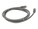 AddOn ADD-3FCAT5E-GY Image 4 from Back AddOn ADD-3FCAT5E-GY Image 4 from Back