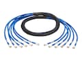 Tripp Lite Augmented Cat6 Cat6a Pre-Terminated 6x RJ-45 M M Copper Trunk Bundle, Blue, 10ft, N261-010-6MM-BL, 31967118, Cables Tripp Lite Augmented Cat6 Cat6a Pre-Terminated 6x RJ-45 M M Copper Trunk Bundle, Blue, 10ft, N261-010-6MM-BL, 31967118, Cables