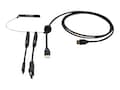 C2G 4K HDMI Premium 6ft Cable and Dongle Adapter Ring with Color Coded DisplayPort and USB-C, C2G30053 , 41902289, Adapters & Port Converters C2G 4K HDMI Premium 6ft Cable and Dongle Adapter Ring with Color Coded DisplayPort and USB-C, C2G30053 , 41902289, Adapters & Port Converters