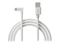 VAULT CORD, 6FT, USB A MALE STRAIGH, CRD-A1C-C2XXXX-W              , 41869202, Cables