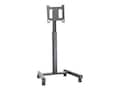 InFocus Mobile Cart for Flat Panel 42-55 , INF-MOBCART, 12937546, Monitor & Display Accessories