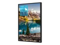 Peerless-AV 64.5 Xtreme High Bright Outdoor Display , XHB653, 41532171, Monitors - Large-Format