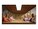 HP Inc. B5PH8UT#ABA                    Image 12 from Back