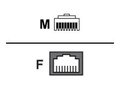 Perle RJ45M-RJ45F SUN Cisco Conver Cable 8-Pack 04007060 Adapter for IOLAN SCSC, 04031290, 8323541, Remote Access Servers