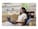 HP Inc. D72WCUT#ABA Image 18 from Back HP Inc. D72WCUT#ABA Image 18 from Back