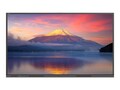 Newline 65 C Series 4K Ultra HD LED-LCD Touchscreen Display, TT-6523C, 41766471, Monitors - Large Format - Touchscreen