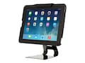 Tryten Flip Stand Mount for iPad Mini 1-4, Black, T2407B, 32580409, Mounting Hardware - Miscellaneous