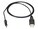 Black Box AVX-DVI-FO-USBPS Image 1 from Front