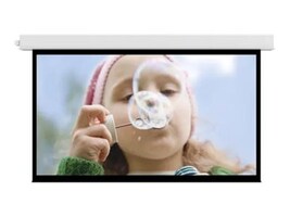 Da-Lite Screen Company 34520BLS Main Image from Front
