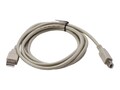 Brady PRINTER USB CABLE - 6 FT, M-USB-103788 , 42076020, Cables Brady PRINTER USB CABLE - 6 FT, M-USB-103788 , 42076020, Cables