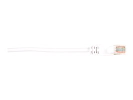 Black Box CAT5EPC-010-WH-10PAK Main Image from Front