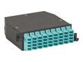 Black Box MTP OM3 Fiber Optic LGX CASSET , FOCA20M3-3MP12-36LC, 41122150, Cables