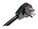 Tripp Lite TLP706TELC Image 9 from Left-angle