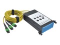Tripp Lite 8.3 125 Fiber Breakout Cassette w Built-In MTP Cables, 40 GB to 10 GB, N482-3M8L12S-B, 33558318, Network Device Modules & Accessories