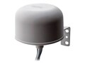 AccelTex ANTENNA OMNI WIFI 4668RPSP, ATS-01066                     , 41958864, Wireless Antennas & Extenders