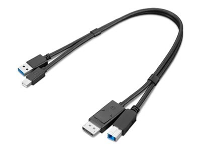 Lenovo ThinkStation mDP + USB-A 3.0 to DP + USB-B 3.0 Dual Head Cable, 4X91D11453, 41255544, Cables