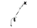 Loctek LOCTEK Q7 Single Monitor Arm, , Q7, 41141459, Monitor & Display Accessories