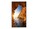 Sharp Imaging and Information Company of America V484 Image 2 from Front
