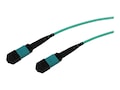 ENET ENET MTP MPO-FEMALE TO MTP M, MTPF2XO-OM4-20M-ENC, 41682692, Cables ENET ENET MTP MPO-FEMALE TO MTP M, MTPF2XO-OM4-20M-ENC, 41682692, Cables