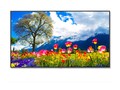 Sharp NEC  98 M981 4K Ultra HD LED-LCD Display, M981, 41709917, Monitors - Large-Format