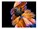 Adobe 65304041BA22A12 Image 5 from Front