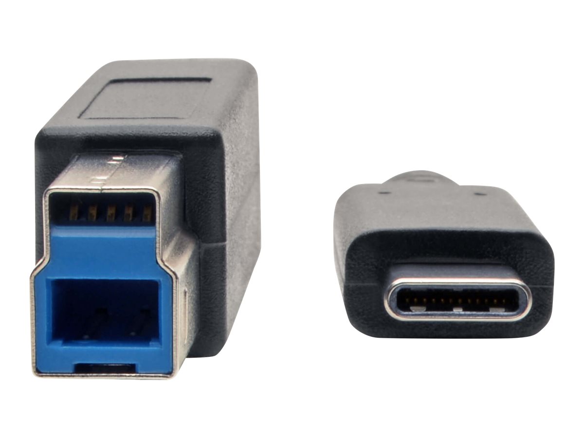 verwarring Guinness Ontslag Tripp Lite Thunderbolt 3 USB 3.1 Type-C to USB Type-B M M Cable, (U422-006)