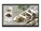 LG Electronics 55TR3DQ-B                      Image 1 from Front