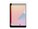 InfoCase INF-SG-IPDMINI7                Image 1 from Front