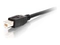 C2G USB Type A to Type B M M Center Booster Format Active Cable, Black, 25ft, 38989, 15233667, Cables