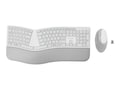 Kensington Pro Fit Ergo Wireless Keyboard & Mouse, Gray, K75407US, 37477486, Keyboard/Mouse Combinations