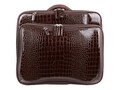 Francine Collections CROCO ROLLER BROWN, FFSROLLER-2                   , 41872793, Carrying Cases - Notebook