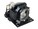 BTI DT01295-OE Image 1 from Left-angle