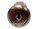 Middle Atlantic Products ACC-LOCK1-SNH Image 1 from Front