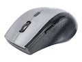 Manhattan Curve Wireless Optical USB Mouse (5) Button w  Scroll Wheel, 179379, 32661567, Mice & Cursor Control Devices