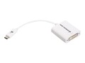 IOGEAR USB Type C to DVI M F Adapter, White, GUC3CDVI, 30642979, Adapters & Port Converters