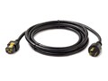 APC Power Cord, Locking C19 to L5-20P, 3.0m, AP8752, 11577631, Power Cords