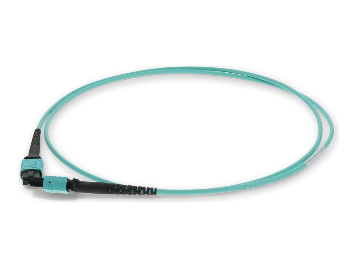 AddOn MPO/MPO Fiber Patch Cable