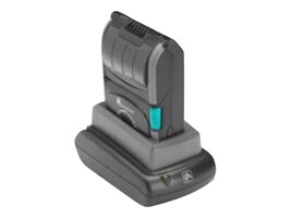 Zebra Technologies International P1060265 Main Image from Left-angle