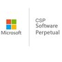 Microsoft CSP License Only Perpetual- Govt Office LTSC Professional Plus 2021, DG7GMGF0D7FX:0002, 41329425, Software - Office Suites