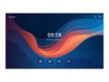 Newline 135IN DIRECT VIEW LED WALL, AL, DV-13524-PLUS                 , 41947155, Monitors - Large-Format