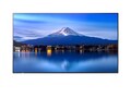 Sharp NEC  42.5 P436 4K Ultra HD LED-LCD Display, PN-P436                       , 42092833, Monitors - Large Format