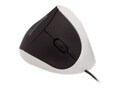 Global Marketing Partners Comfi Ergonomic USB Mouse, White, EM011W, 33150312, Mice & Cursor Control Devices