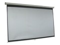 PRJECTION SCREEN120IN 169, 5352                          , 41987689, Monitor & Display Accessories
