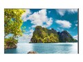 Sharp NEC  55 PN-UN553S Full HD LED-LCD Video Wall Display, PN-UN553S                     , 42023753, Monitors - Video Wall