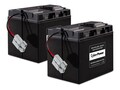 CyberPower 2X12V 17AH LEAD-ACID BATTERY, RBC55-CP                      , 42115523, Batteries - Other
