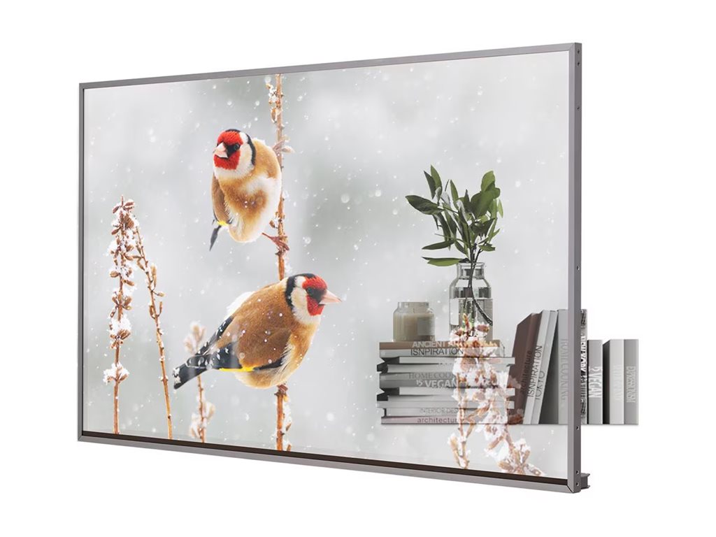 LG Electronics 55EW5P-M                       Image 5 from Right-angle