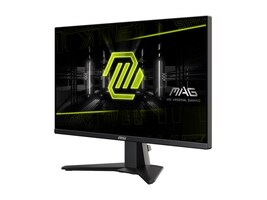 MSI Computer MAG255XFV                      Main Image from Right-angle